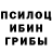 Галлюциногенные грибы Cubensis _Chelovek _123