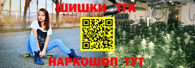 стафф Будённовск