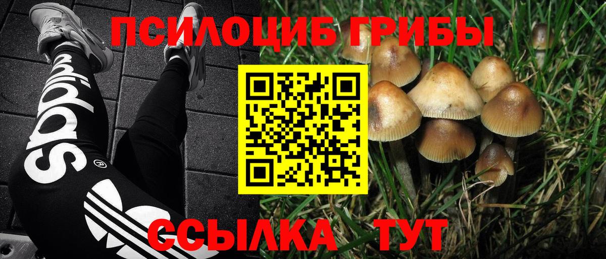 Галлюциногенные грибы мицелий Йошкар-Ола