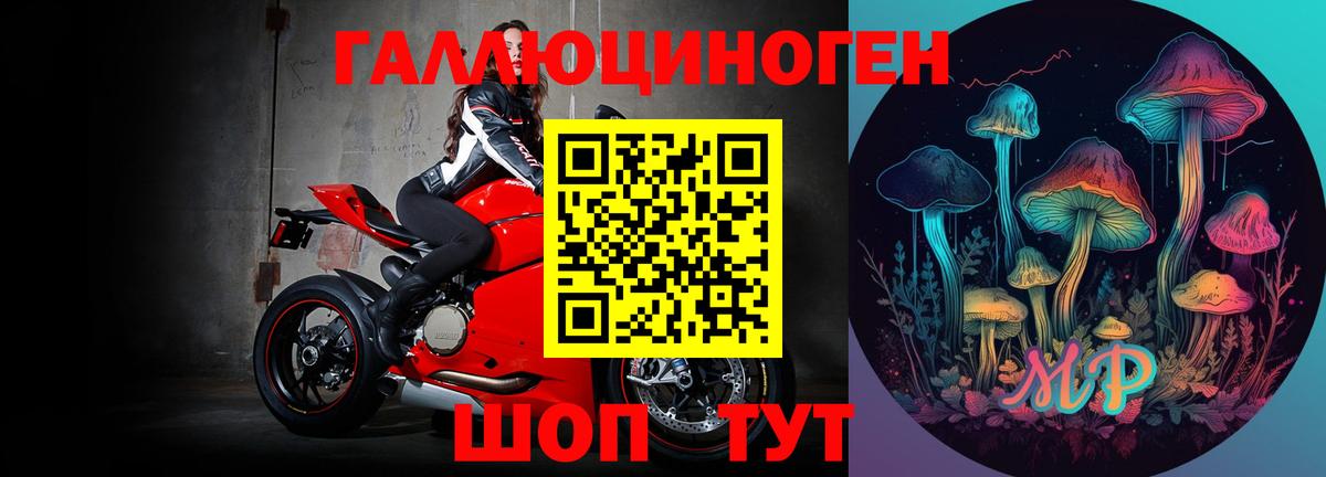 Йошкар-Ола  Псилоцибиновые грибы Psilocybe  Вход с VPN 